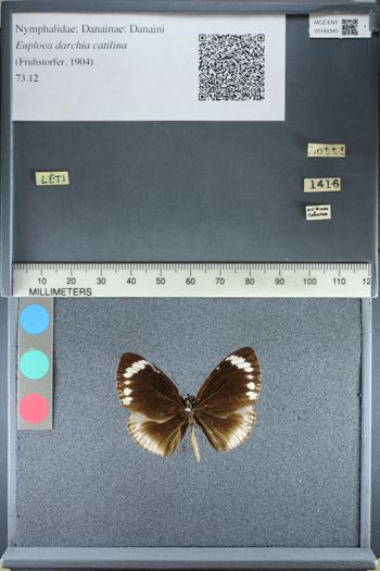 Media type: image;   Entomology 160340